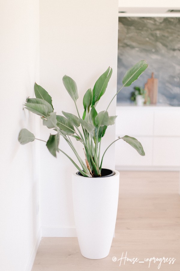 pot-fleur-blanc-haut-interieur-exterieur