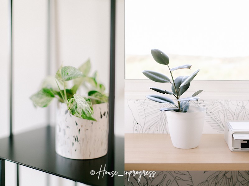 PLANTES-houseinprogress
